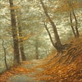 thumbnail image 3 of Adamov, Alexey 15x15 Black Modern Framed Museum Art Print Titled - The Path to the Forest, 3 of 5