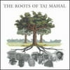 The Roots Of Taj Mahal