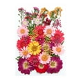 thumbnail image 1 of Bdday Dried And Embossed Flowers For Resin Kit Candles And Crafts, 1 of 1