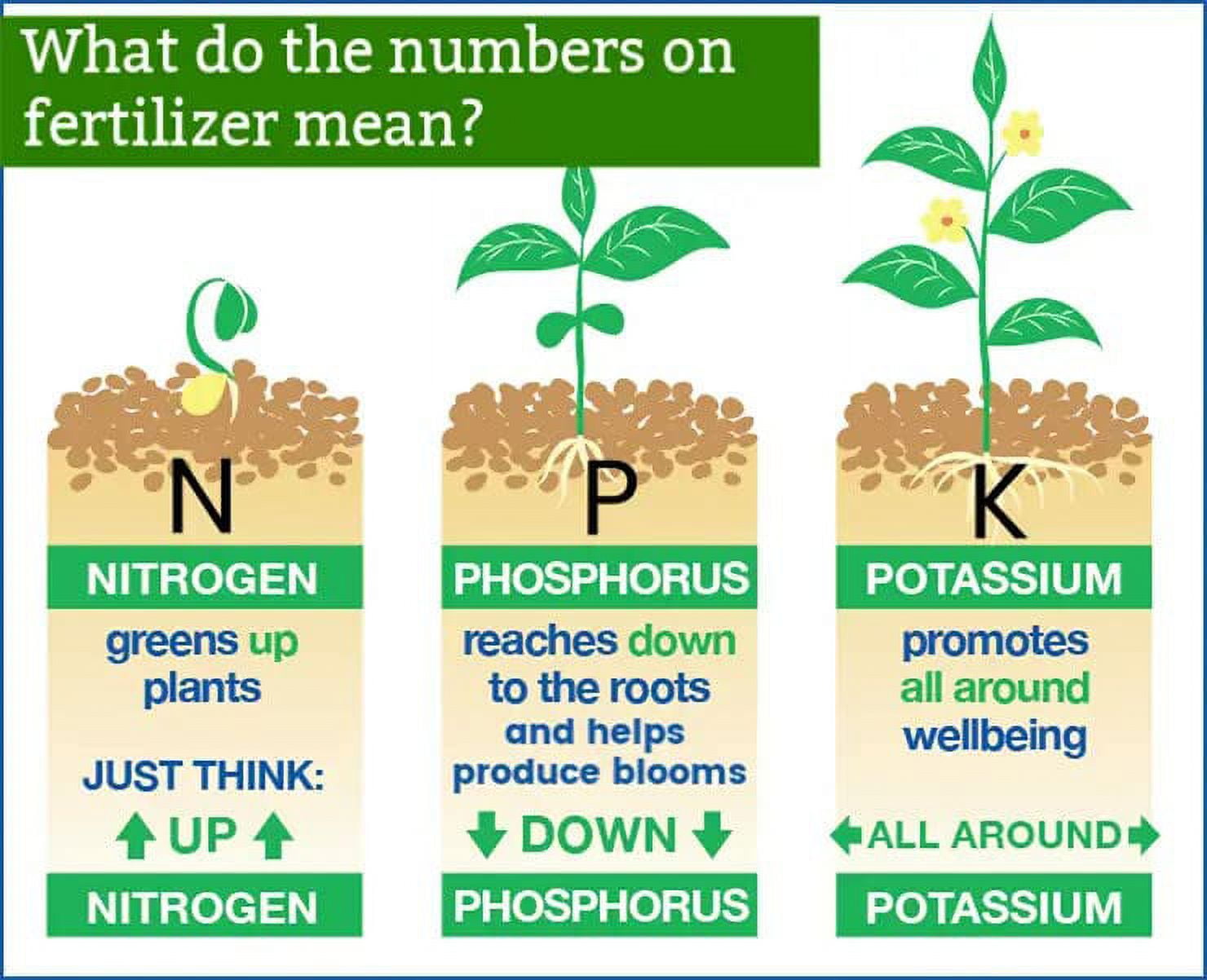 JIN LOVA 6-6-6 All Purpose Garden Fertilizer, 1 Quart with Balanced Nutrients for Plants
