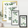 thumbnail image 4 of Designart 'Ancient Botanicals VIII' Traditional Framed Art Print, 4 of 4