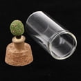 thumbnail image 1 of Cristal decorativo terrario Cloche caja de cristal miniatura jardín decoración del hogar 8 8 Sharpla Decoraciones de estatuas de terrarios, 1 of 8