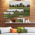 thumbnail image 3 of Wisconsin Soybean Field Rows - Landscape Canvas Art Print, 3 of 4