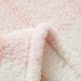thumbnail image 2 of Mainstays Teddy Fleece Throw Blanket Dusty Rose Plaid, 2 of 7
