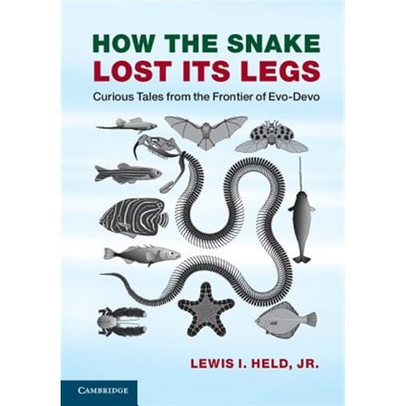 Pre-Owned How the Snake Lost its Legs, (Paperback)