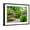 Black Frame, variant on Art.com USA, Washington State. Bellevue and the Bellevue Botanical Gardens springtime blooming Rhododendron Stretched Canvas Print Wall Art by Sylvia Gulin, 16" x 12"