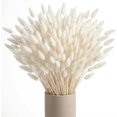 thumbnail image 1 of Pampas Grass 17 pulgadas Bunny Tails Pampas Grass decoración boho Pampas Grass decoración para bodas, 1 of 7