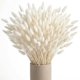 thumbnail image 1 of Pampas Grass 17 pulgadas Bunny Tails Pampas Grass decoración boho Pampas Grass decoración para bodas, 1 of 7