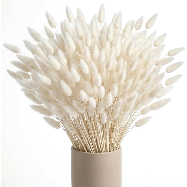 Pampas Grass 17 pulgadas Bunny Tails Pampas Grass decoración boho Pampas Grass decoración para bodas
