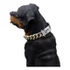 thumbnail image 2 of Collares De Acero Inoxidable Para Perros Grandes - Plato Oro Color Dorado Huesos Tamaño del collar 28 inches/71cm, 2 of 5