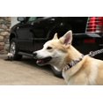 thumbnail image 4 of Moose Pet Wear Dog Collar - Patterned Adjustable Pet Collars, Made in The USA - 3/4 Inch Wide, Medium, Dainty Diamond, 4 of 4