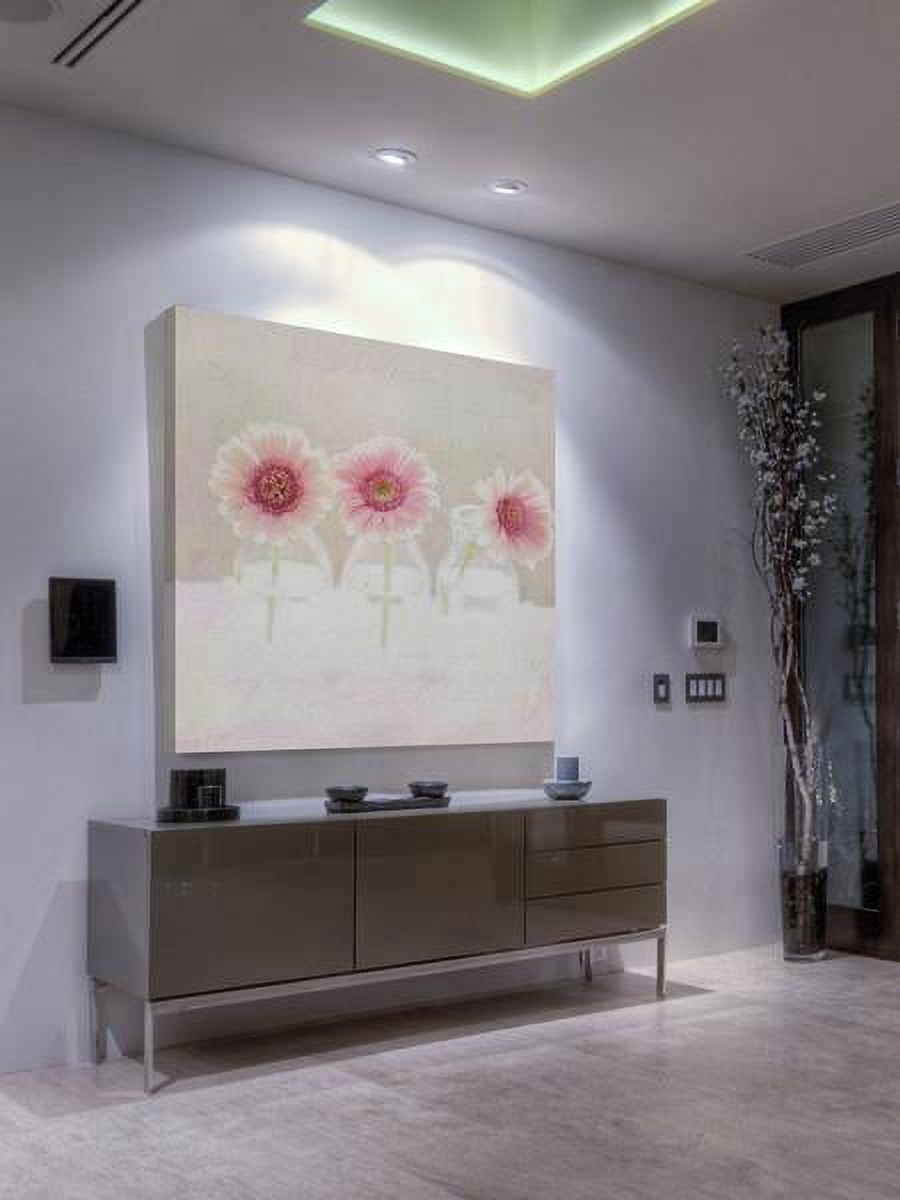 "3 Daisies" Painting Print on Wrapped Canvas