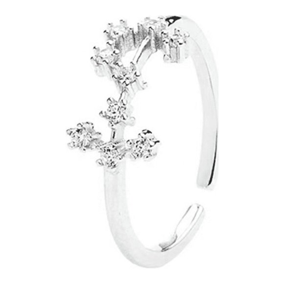 Horoscope Ring 925 Sterling Silver Statement Ring for Women