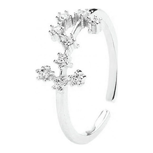 Horoscope Ring 925 Sterling Silver Statement Ring for Women