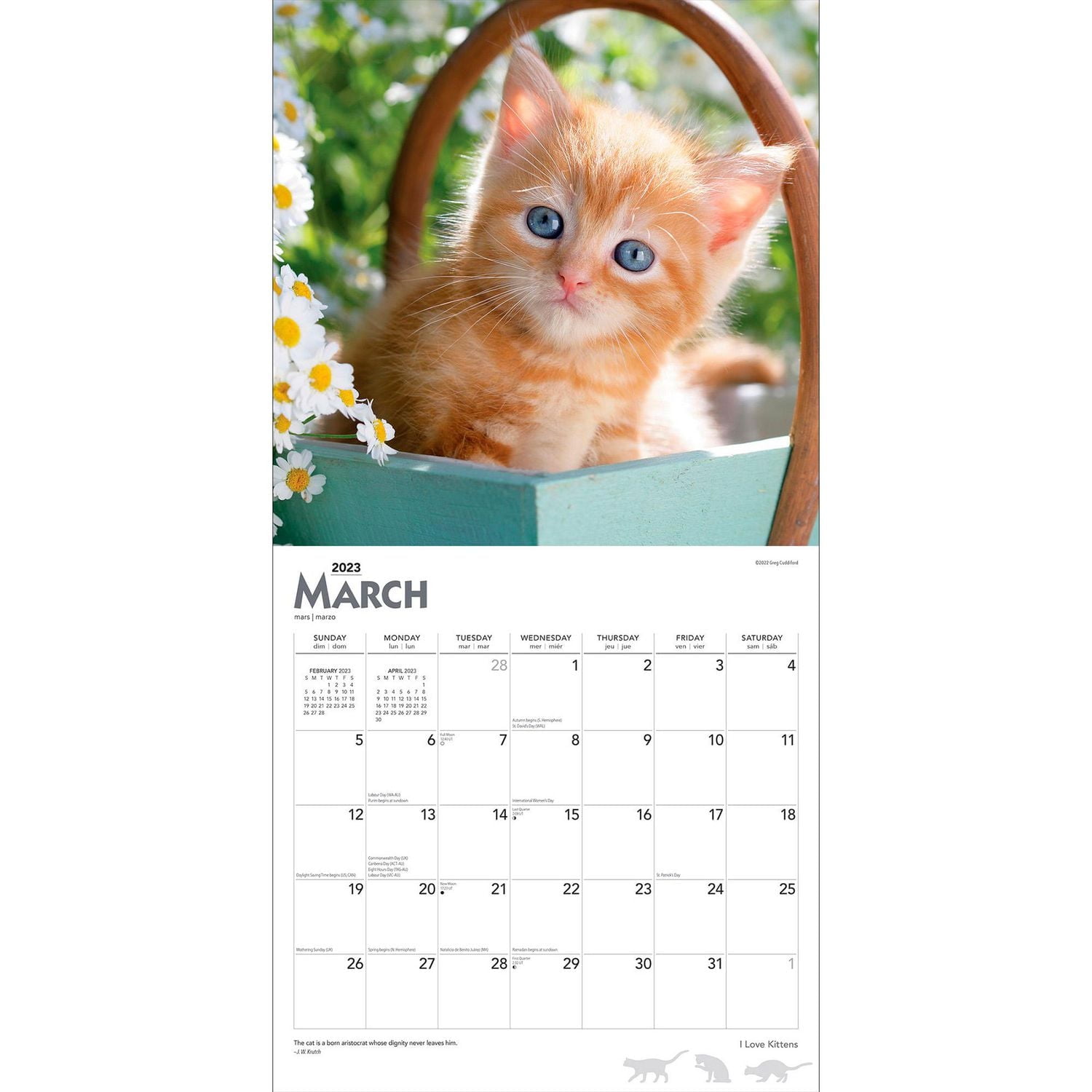 I Love Kittens | 2023 12x24 Inch Square Wall Calendar
