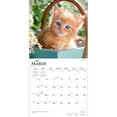 thumbnail image 3 of Kittens, I Love 2023 Square, 3 of 8