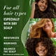thumbnail image 2 of Herbal Essences Champú sin sulfato de eucalipto Balance del cuero cabelludo 13.5 onzas líquidas con aceite de camelia certificado y aloe vera para todo tipo de cabello, especialmente el cuero cabellud, 2 of 5