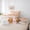 Capybara 14, variant on Erosebridal Kids Cute Capybara In The Water Twin Bedding Sets 7-Piece,Cartoon Animal Yellow Duck Bedding Comforter Set For Boys Girls,Breathable Home Decor