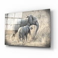 thumbnail image 2 of Epic Art ' Elephants' by Helene Sobol, Acrylic Glass Wall Art, 16"x12", 2 of 8