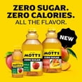 thumbnail image 3 of Mott's Zero Sugar Apple Juice Drink, 8 Fluid Ounce, 6 Count Bottles, 3 of 18