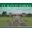 Spanish 1, variant on Pre-Owned St. Louis Parks (Hardcover) 1935806092 9781935806097