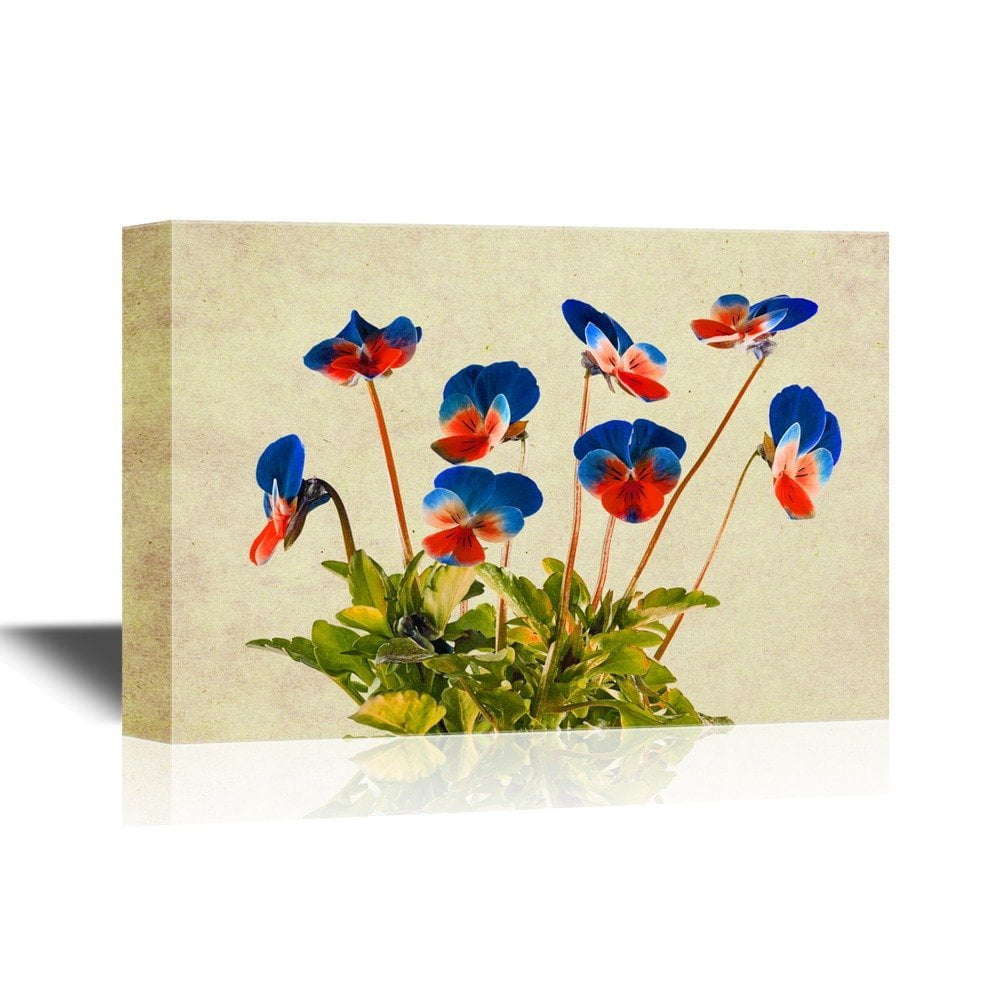 wall26 Pansy Flower Canvas Wall Art Colorful Pansy Flowers Gallery