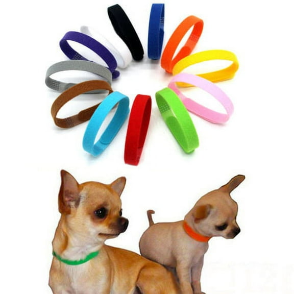 Cheers.US 12Pcs Adjustable Pet Collar Anti-lost Soft Name ID Collar for Dog Strong Stickiness Collar Back can be Stuck to Itself,Cut to the Length of your Choice