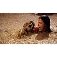 thumbnail image 4 of Poltergeist: 25th Anniversary Edition [DVD], 4 of 8