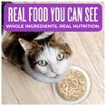 thumbnail image 2 of Tiki Cat Born Carnivore Wet Cat Food, Chicken Breast & Duck Recipe in Broth, 2.4 oz. Can, 2 of 9