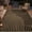 HY-Black & Brown, variant on VUNATE Outdoor Rug Carpet 5'x8' Waterproof Reversible Patio Rug Portable Boho Indoor Outdoor Rug Plastic Straw Rug for Beach RV Camping Garden Picnic Deck Backyard Modern Porch Decor Black and White