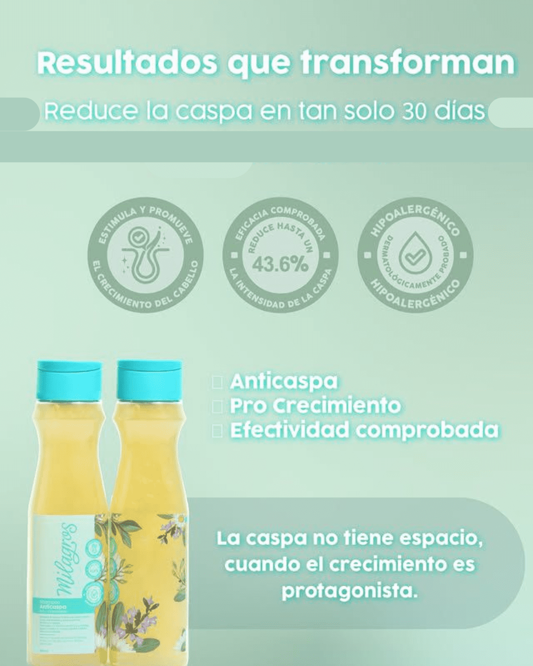Milagros Shampoo anti dandruff & hair loss prevention Miracles Shampoo Anticaspa efecto duo, anti caspa y prevencion caida champu milagros