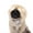 5, variant on Pet Hairpiece Bob Wigs Ikun Costume Dog Wigs for Small Large Pet Colorful Hairpiece for Dress Party