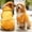 Yellow, variant on Basic Dog Hoodie, Soft and Warm Dog Hoodie Sweater with Leash Hole and Pocket, Dog Winter Coat, Cold Weather Clothes for XS-5XL Dogs