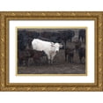 thumbnail image 1 of Murdock, Ramona 24x17 Gold Ornate Wood Framed with Double Matting Museum Art Print Titled - White Steer, 1 of 4