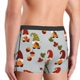 thumbnail image 3 of Fotbe Cute Autumn Gnomes Men’s Total Support Pouch Boxer Briefs, X-Temp Cooling, Moisture-Wicking Underwear, Regular, Long-leg and Trunk-Small, 3 of 6