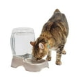 thumbnail image 3 of Petmate Café Cat and Dog Gravity Pet Waterer Water Bowl Station, 0.75 Gal, Pearl Tan, 3 of 7