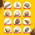thumbnail image 3 of Kit de excavación Fossil Dan&Darci Mega Science para niños de 8 a 12 años con guía, 3 of 7