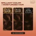 thumbnail image 5 of Clairol Professional Textures & Tones, 2N Dark Brown, 1 oz, 3 Pack, 5 of 7