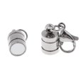 thumbnail image 1 of 5x Cierre Conector de Langosta Cierre Resultados de La Joyería Acero Inoxidable Sunnimix Broche de convertidor magnético, 1 of 8