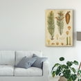 thumbnail image 3 of Trademark Fine Art Floral Canvas Art ' Vintage Conifers Iv ' by Vision Studio, 3 of 4