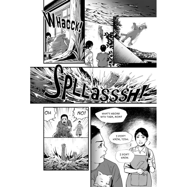 The Minamata Story: An Ecotragedy, (Paperback) - Walmart.com
