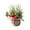 Red, variant on 1Pcs Mini Artificial Christmas Tree Tabletop Centerpiece, Farmhouse Pomegranate & Gold Berry Arrangement in Burlap Pot, Elegant Holiday Decor for Home Office Mantel Winter