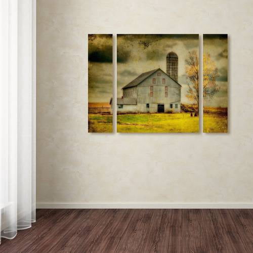 Trademark Fine Art ''Old Barn on Stormy Afternoon'' by Lois Bryan 30" x 41" Multi Panel Art Set Large (886511916784)