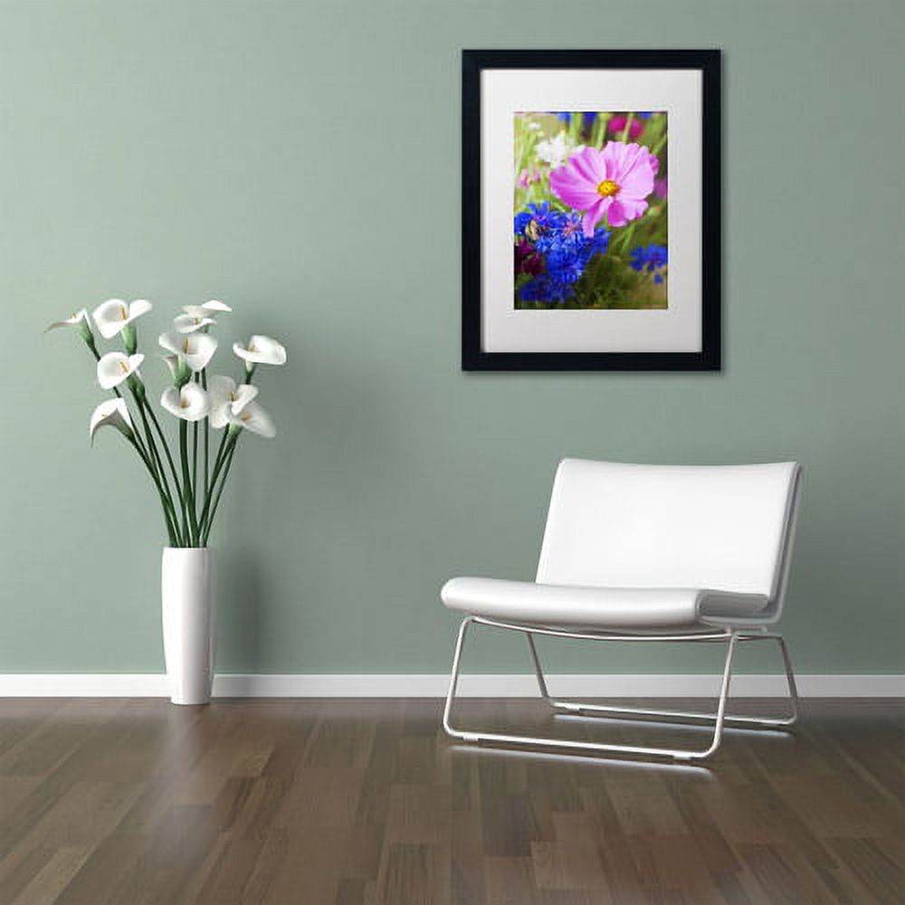 Trademark Fine Art "Cosmo" Canvas Art by Philippe Sainte-Laudy, White Matte, Black Frame