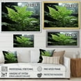 thumbnail image 4 of Designart "A Close Up Photo of Ferns IV" Floral Floater Framed Wall Art Living Room, 4 of 7