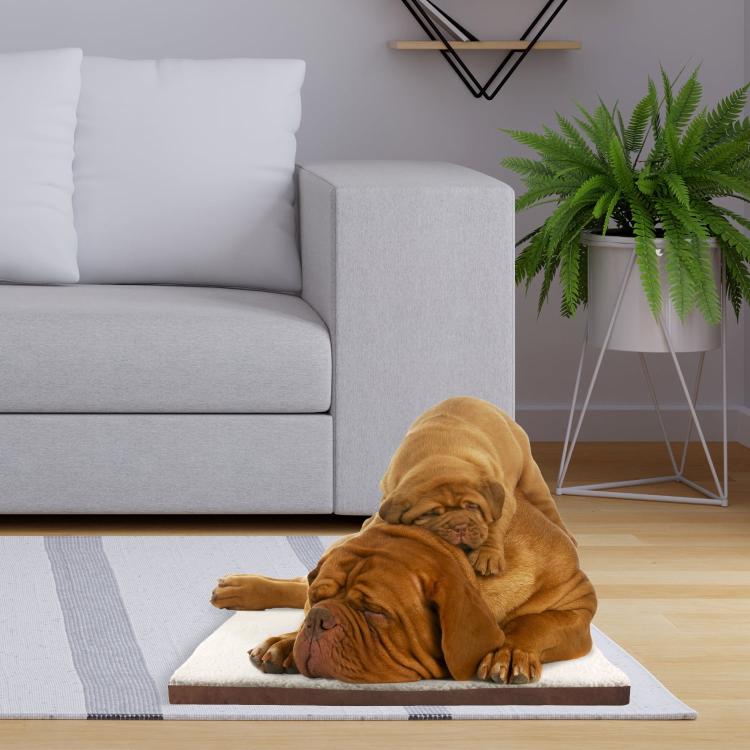 Precious Tails Sherpa Crate Mat