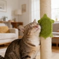 thumbnail image 4 of Outdor Turtle Shaped Cat Comb Wall Mounted Cat Scratching Board & Self Grooming Device, 4 of 5