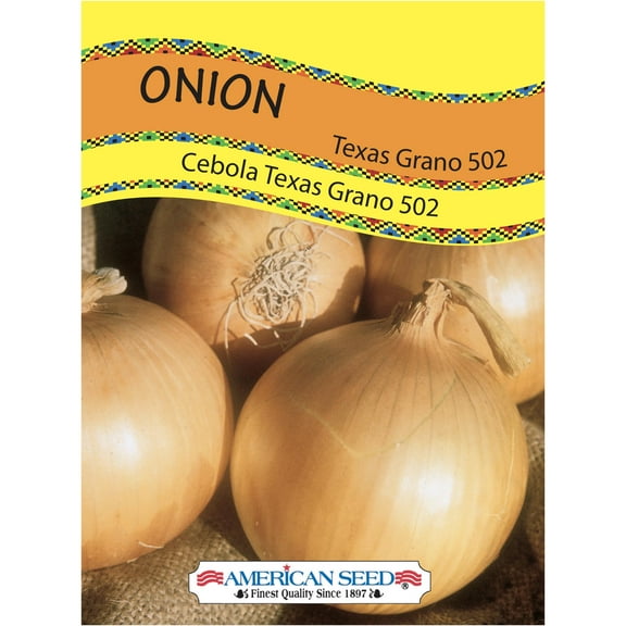 American Seed Onion Texas Grano Annual Vegetable Seeds Full Sun