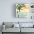 thumbnail image 2 of Trademark Fine Art 'Island Sunset I' Canvas Art by Chris Paschke, 2 of 4