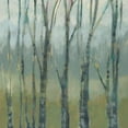 thumbnail image 2 of Goldberger, Jennifer 20x20 Black Ornate Wood Framed with Double Matting Museum Art Print Titled - Transitional Treeline II, 2 of 4